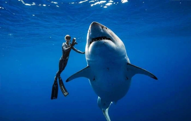 Самые мощные и впечатляющие ФОТОГРАФИИ за январь 2019 года