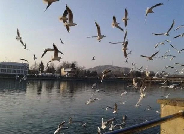 İkinci ən yaxşı mobil fotomüsabiqəsi başa çatdı -FOTO