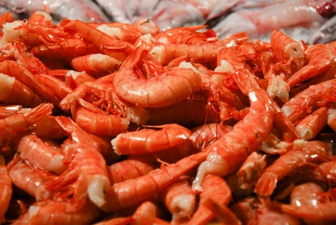 60% продуктов в магазинах - чистая подделка! Как отличить качественные продукты от подделок