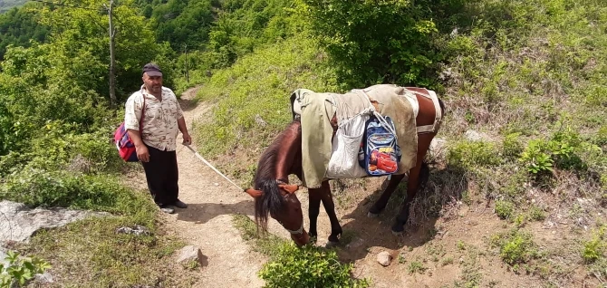 Azərbaycanda bu kəndin yolu yoxdu - Sakinlər atla, ulaqla gedir - REPORTAJ
