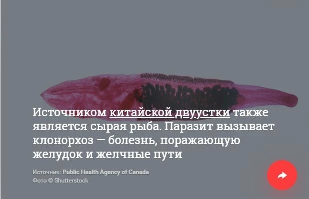 Паразиты, бактерии, яд. 10 жутких опасностей, подстерегающих любителей суши