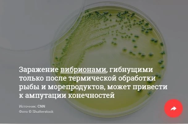 Паразиты, бактерии, яд. 10 жутких опасностей, подстерегающих любителей суши