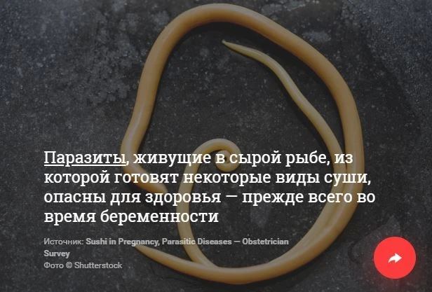 Паразиты, бактерии, яд. 10 жутких опасностей, подстерегающих любителей суши