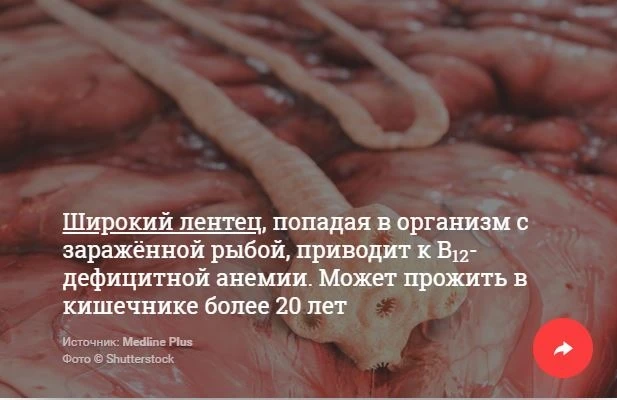 Паразиты, бактерии, яд. 10 жутких опасностей, подстерегающих любителей суши