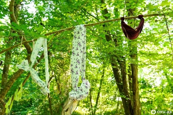 Azərbaycanda yeni “pir”: Ağacdan alt paltarı asırlar, “əl uzadan”ın ağzı əyilir – REPORTAJ