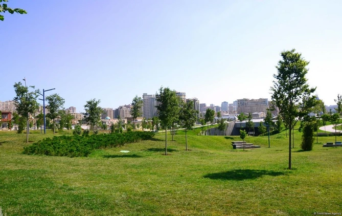 Великолепный облик Баку: Центральный парк - ФОТО