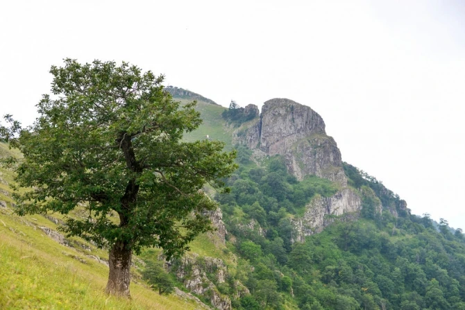 Duaların qəbul olduğu yer - Haqqında əfsanələr dolaşan təbiət möcüzəsi - FOTO