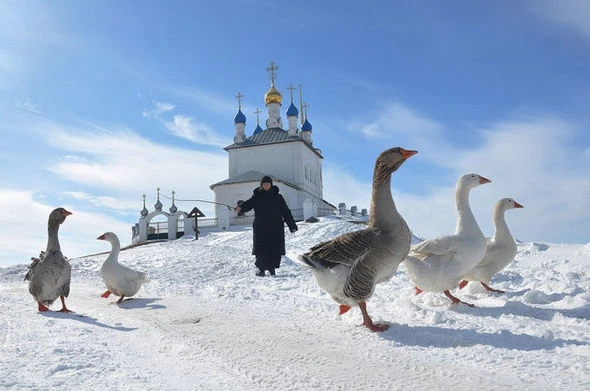 Снятое в Баку фото стало победителем российского Фотоконкурса - ФОТО