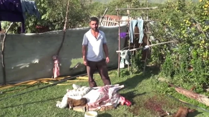 “Günün Yekunu” - 10 oktyabr 2019