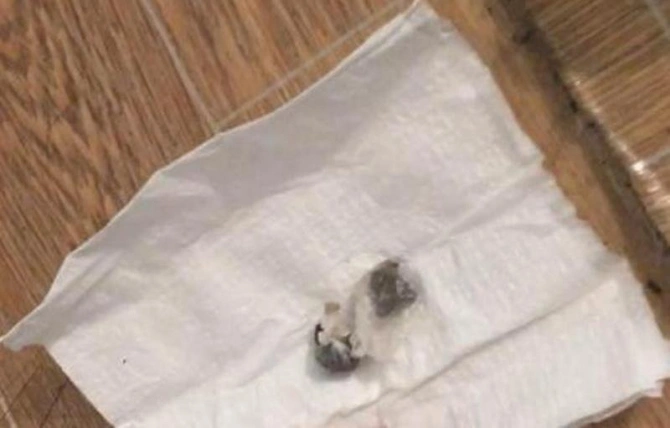 Ata həbsdəki oğluna heroin apararkən yaxalandı - FOTO