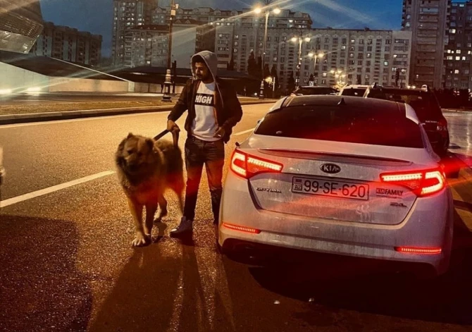 Bakıda polis maşınının kapotunun üzərində pivə içən şəxs saxlanıldı - FOTO