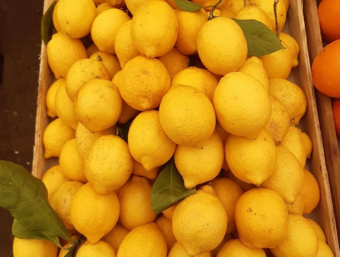 Yeni illə bağlı ucuz bayram yarmarkaları təşkil olunacaq - ÜNVANLAR