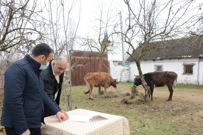 Daha iki rayonda Vətən müharibəsi şəhidlərinin ailələri və müharibə iştirakçıları üçün təsərrüfatlar yaradıldı