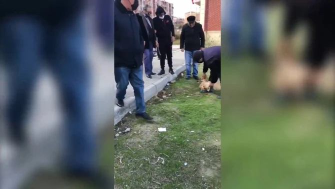 Günün Yekunu - 30 dekabr 2020