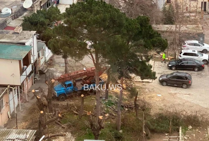 Günün Yekunu - 17 fevral 2021