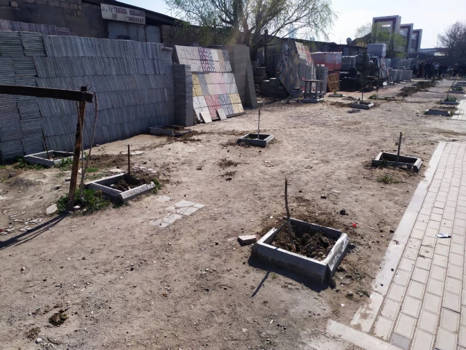 Bakıda kütləvi şəkildə ağaclar kəsilib - FOTO
