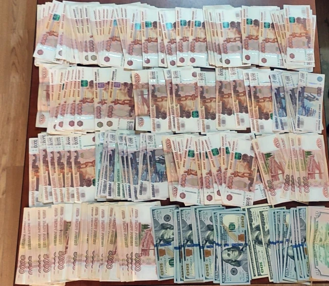 Ölkədən qanunsuz xarici valyutanın çıxarılmasına cəhd edilib - FOTO