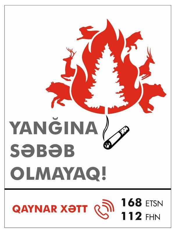 İradə İbrahimova: “Yanğınların böyük əksəriyyətində insan faktoru var” - FOTO