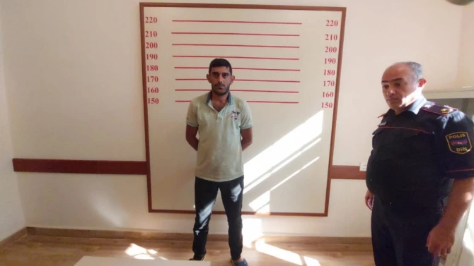 Yarım tondan çox narkotik vasitə becərən şəxslər saxlanılıb - FOTO