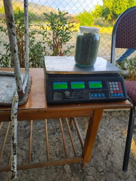 Polis daha bir əməliyyat keçirdi: Saxlanılanlar var - FOTO