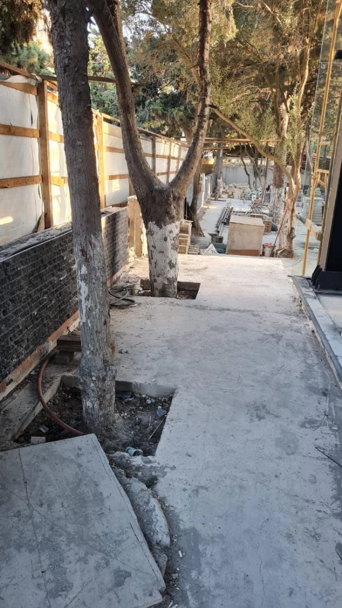 Bakıda tikinti aparılan ərazidəki ağaclar nəzarətə götürüldü - RƏSMİ