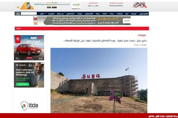 Misirli jurnalist Xarıbülbül haqqında məqalə yazıb - FOTO