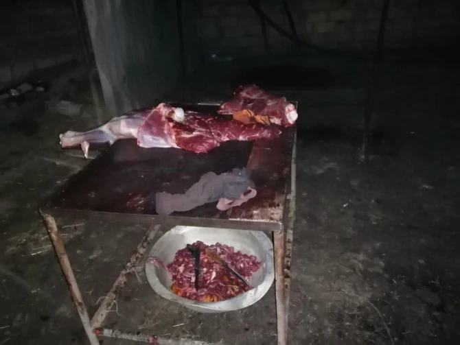 Bakıda at əti satmaq istəyən İsmayıllı sakini saxlanılıb - FOTO