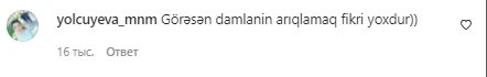 Damla şaxtalı havada hovuza girib görüntülərini paylaşdı - FOTO/VİDEO