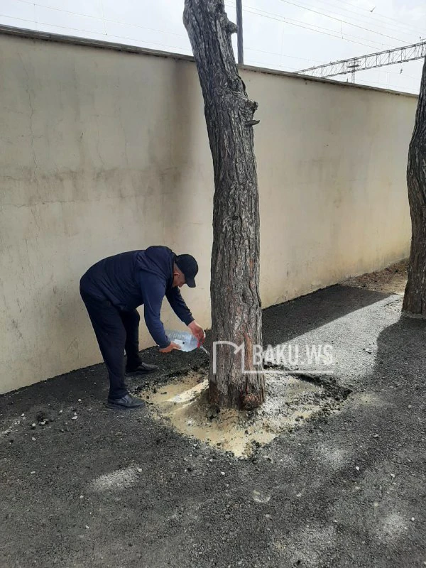 BAKU.WS işıqlandırdı, problem həllini tapdı - YENİLƏNİB - FOTO/VİDEO