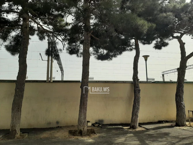 BAKU.WS işıqlandırdı, problem həllini tapdı - YENİLƏNİB - FOTO/VİDEO