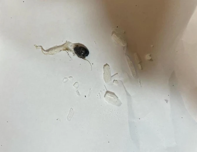 Həbsdə olan tanışına bişirilmiş toyuğun içində narkotik keçirmək istədi - FOTO