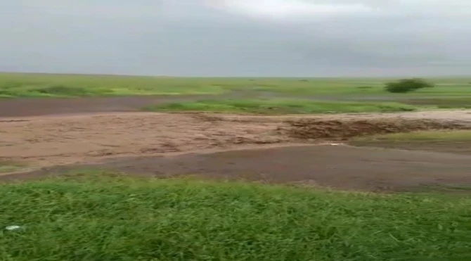 Gədəbəydə leysan yağışından sonra dolu düşüb - FOTO