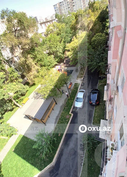 Yaşıllıqları məhv edən maşının hansı quruma məxsus olduğu BİLİNDİ - YENİLƏNİB - FOTO