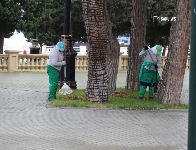 Paytaxt Yeni il üçün bəzədilir - FOTOREPORTAJ