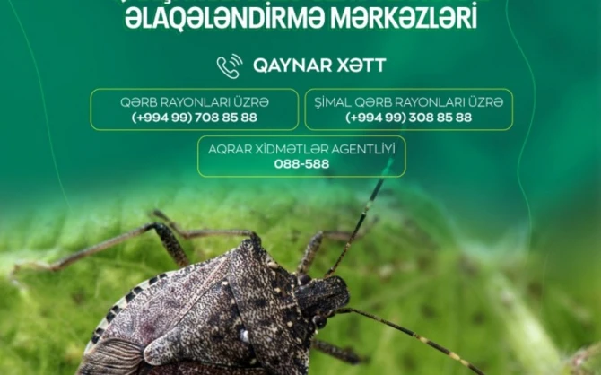 Azərbaycanda yeni “Qaynar xətt” fəaliyyətə başlayıb