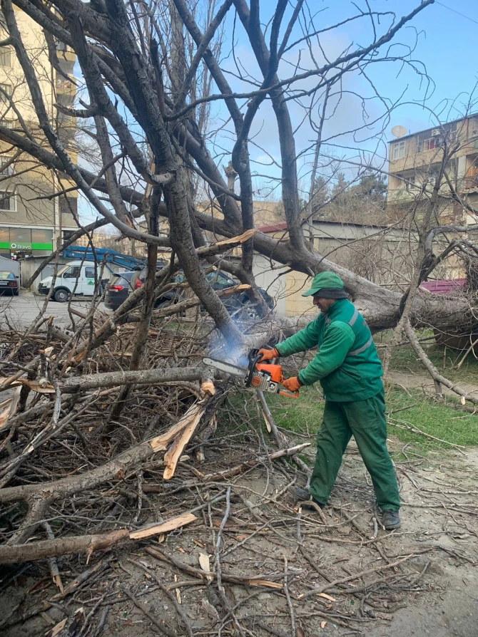 Bakı sakinlərinə güclü küləklə bağlı MÜRACİƏT - Bu yerlərə...