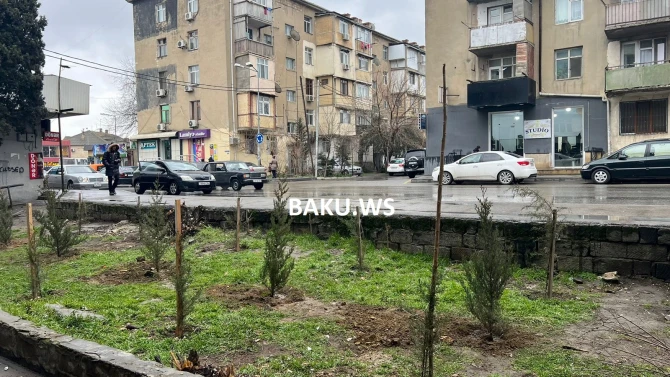 BAKU.WS-in Biləcəridə qaldırdığı problem həll edildi - FOTO/AÇIQLAMA
