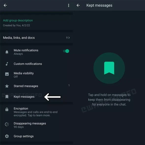 “WhatsApp”da yoxa çıxan mesajlar itməyəcək - FOTO