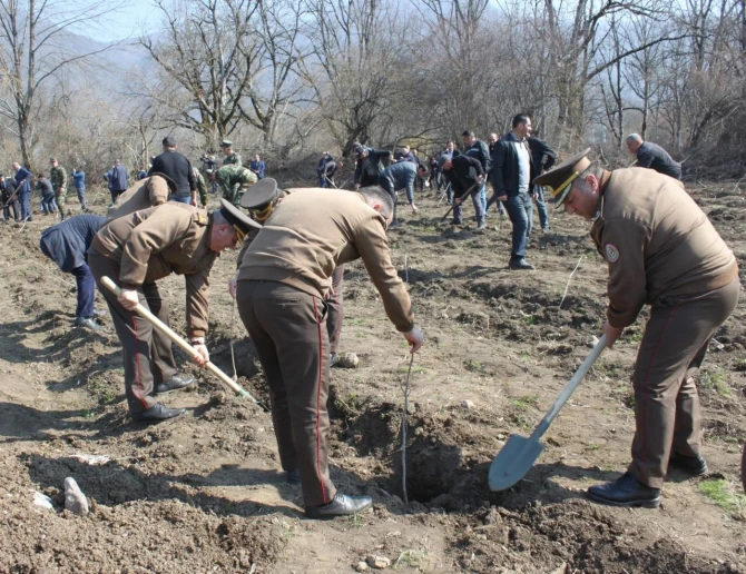 FHN “Heydər Əliyev İli” çərçivəsində ağacəkmə aksiyası keçirib - FOTO