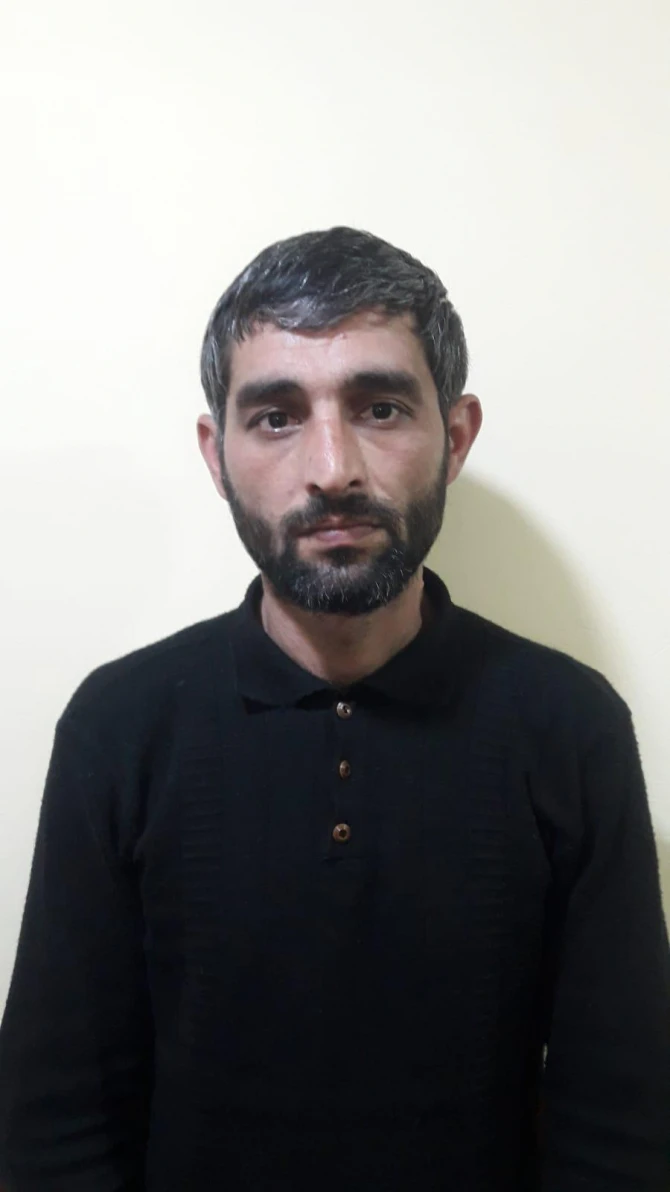 Narkotik tərkibli bitkilərin kultivasiyası ilə məşğul olan şəxs saxlanılıb - FOTO