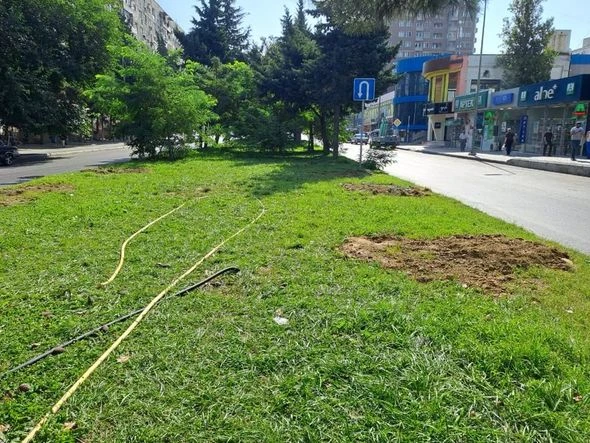 В Баку пресекли незаконное строительство нового кафе - ОБНОВЛЕНО + ФОТО