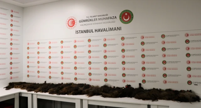 Hava limanında dəyəri 1 milyon olan 53 kiloqramlıq saç aşkarlandı - FOTO