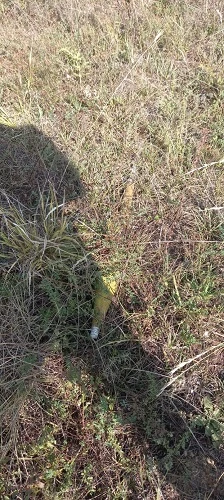 В Ходжавенде обнаружены боеприпасы - ФОТО