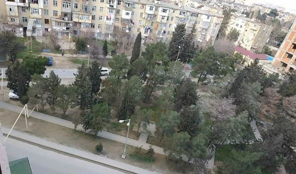 Bakıda parkda yaşıllıqları qurudub restoran tikmək istədilər - FOTO/VİDEO