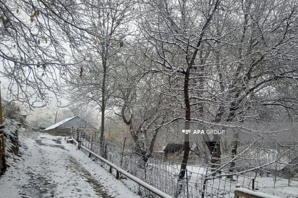 Naxçıvana qar yağıb - FOTO