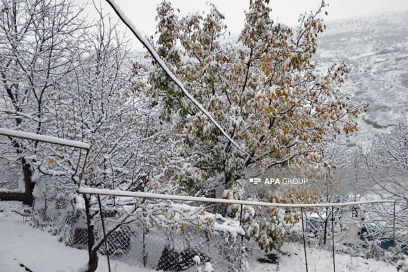 Naxçıvana qar yağıb - FOTO