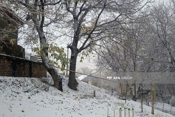 Naxçıvana qar yağıb - FOTO