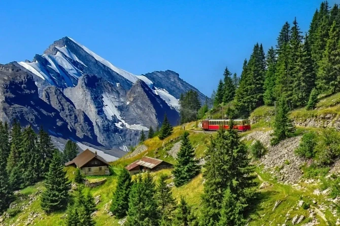 Dünyanın 10 ən xoşbəxt ölkəsi açıqlandı - FOTO - SİYAHI