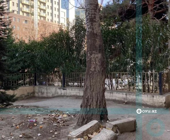 Bakıda yaşıllıq ərazinin məhv edilməsi ilə bağlı yayılan iddialara CAVAB - YENİLƏNİB + FOTO
