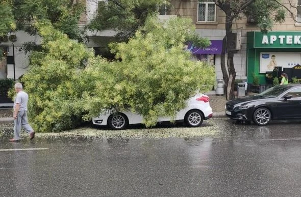 Sürücülərə avtomobillərin park edilməsi ilə bağlı MÜRACİƏT - FOTO